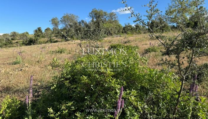 Image No.4-Land for sale