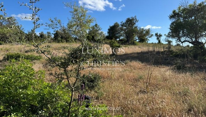 Image No.5-Land for sale