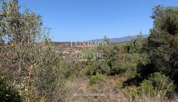 Image No.4-Land for sale