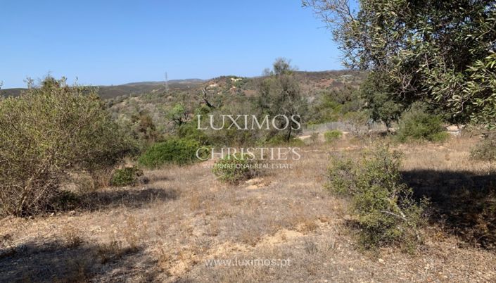 Image No.8-Land for sale