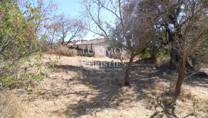 Image No.3-Land for sale