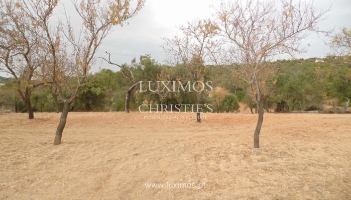 Image No.3-Land for sale