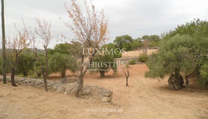 Image No.4-Land for sale