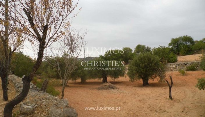 Image No.5-Land for sale