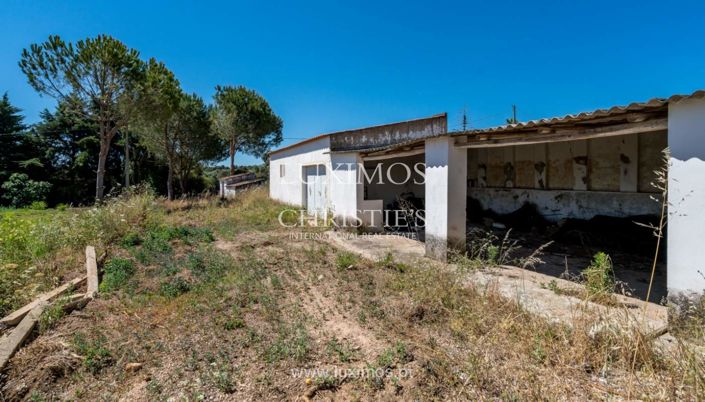 Image No.17-Farmhouse for sale