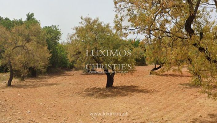 Image No.4-Land for sale