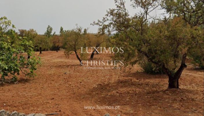 Image No.7-Land for sale