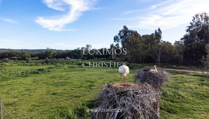 Image No.17-Farmhouse for sale