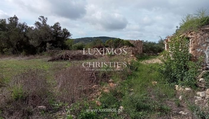 Image No.11-Land for sale