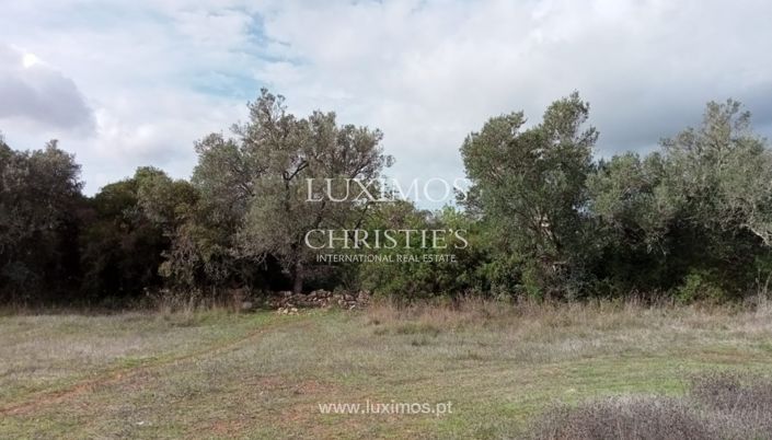 Image No.13-Land for sale