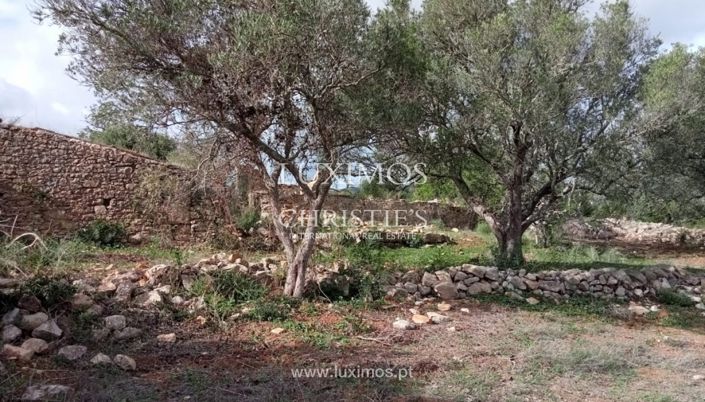 Image No.16-Land for sale