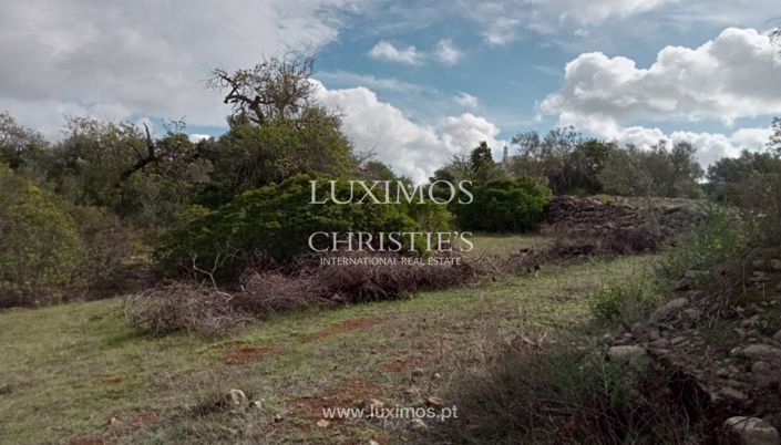 Image No.25-Land for sale