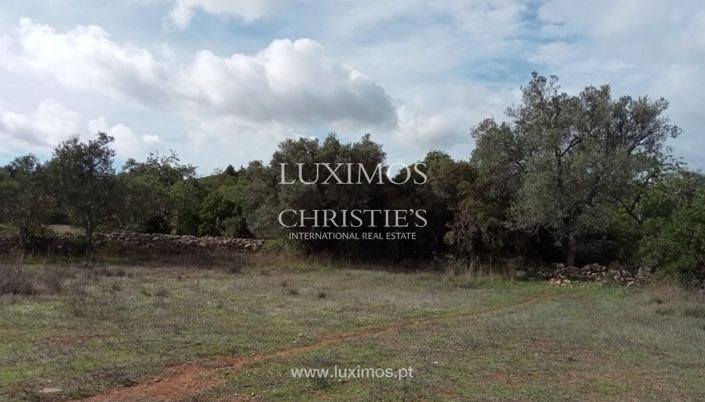 Image No.26-Land for sale