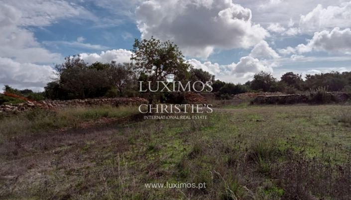 Image No.4-Land for sale