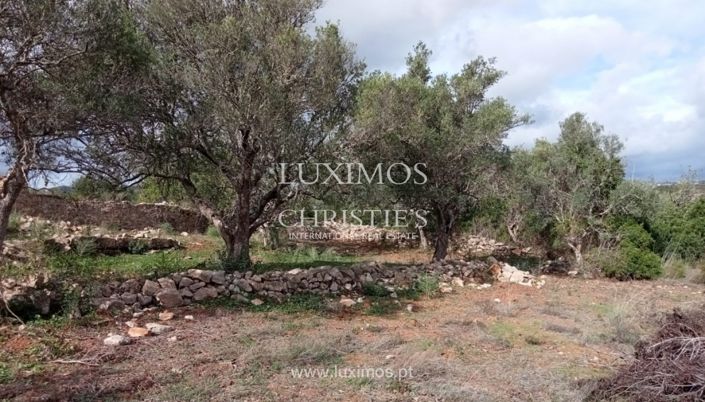 Image No.10-Land for sale