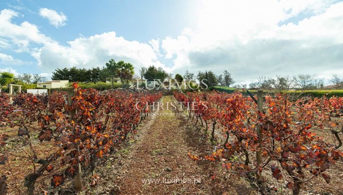 Image No.4-7 Bed Commercial for sale