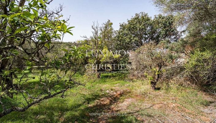 Image No.16-Land for sale