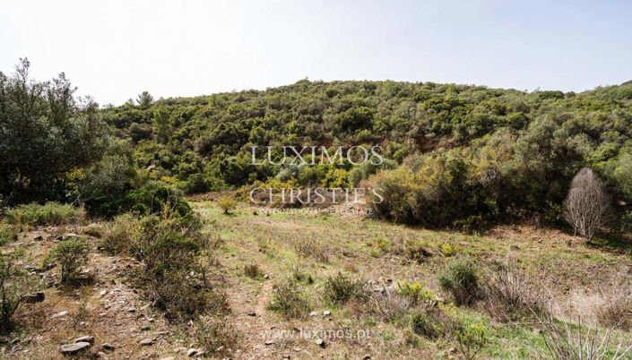 Image No.3-Land for sale