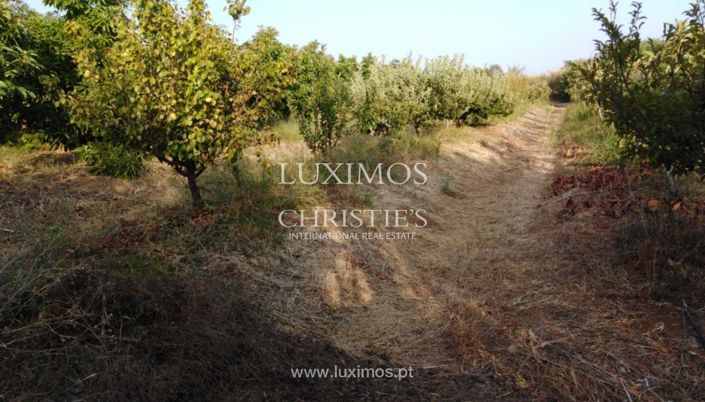 Image No.11-Farmhouse for sale