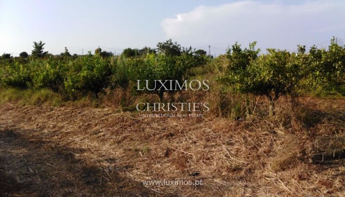 Image No.12-Farmhouse for sale