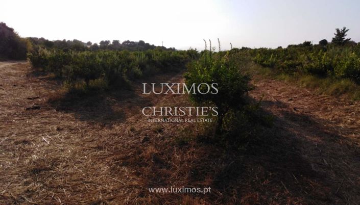 Image No.13-Farmhouse for sale