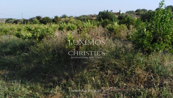 Image No.14-Farmhouse for sale