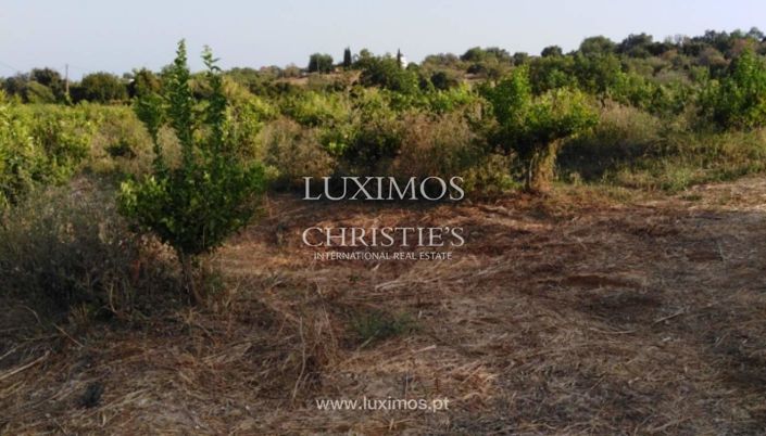 Image No.15-Farmhouse for sale