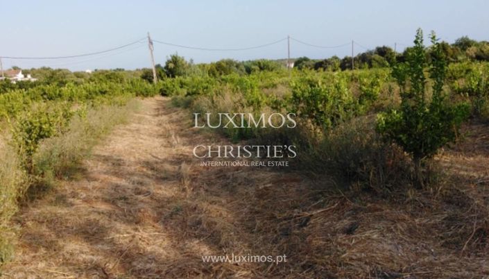 Image No.3-Farmhouse for sale