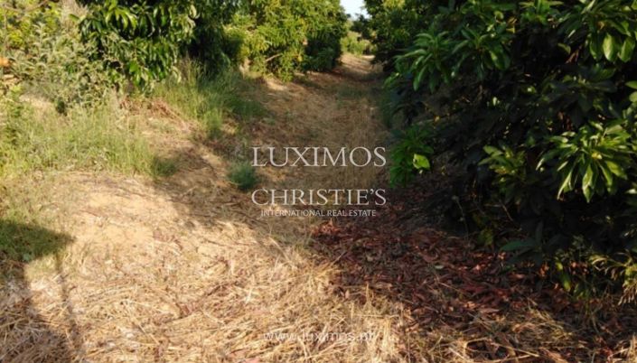 Image No.5-Farmhouse for sale