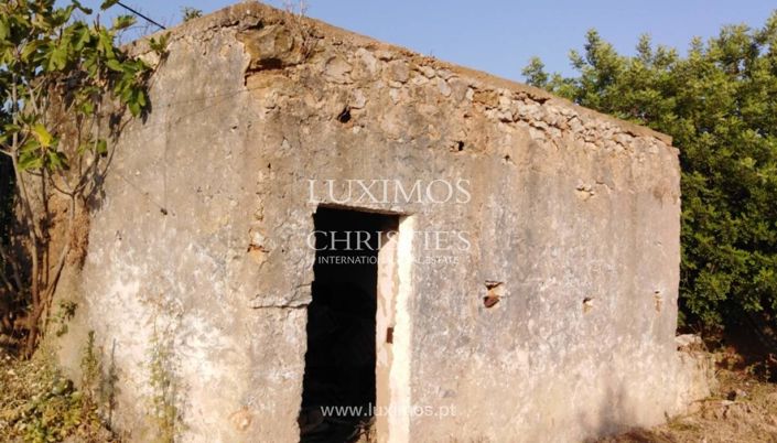 Image No.6-Farmhouse for sale