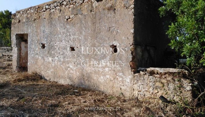 Image No.7-Farmhouse for sale