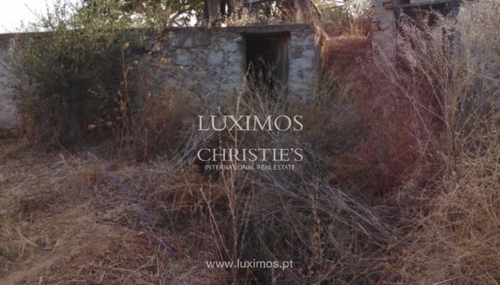 Image No.9-Farmhouse for sale