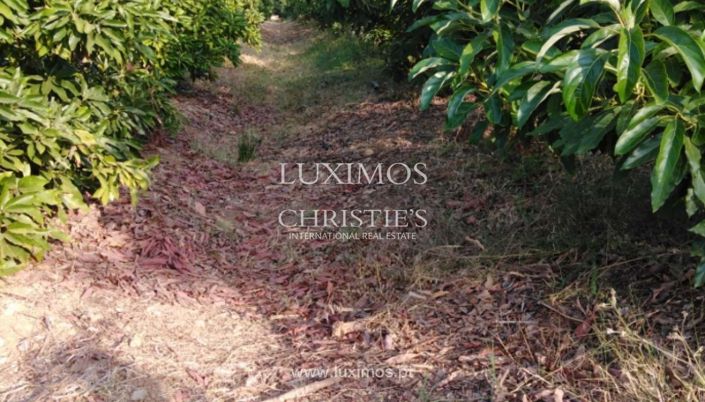 Image No.10-Farmhouse for sale