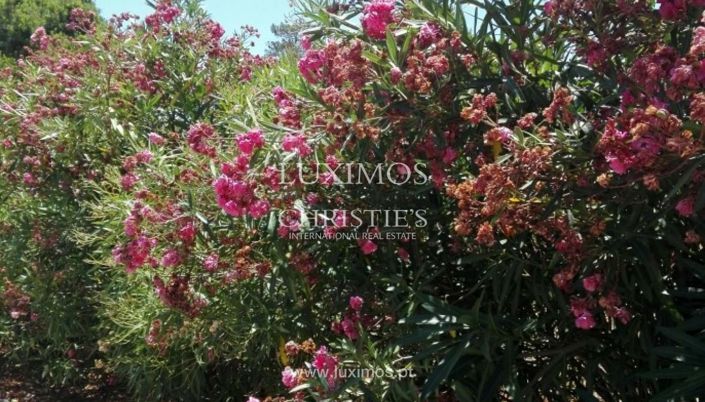 Image No.3-Land for sale