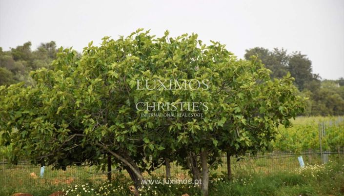 Image No.12-Farmhouse for sale