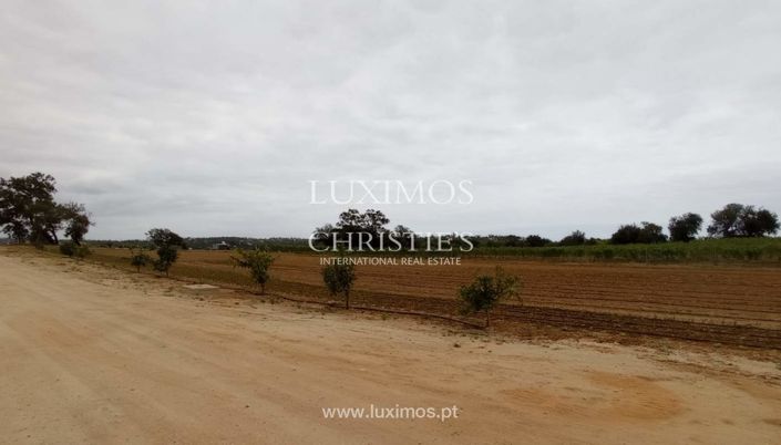 Image No.18-Farmhouse for sale