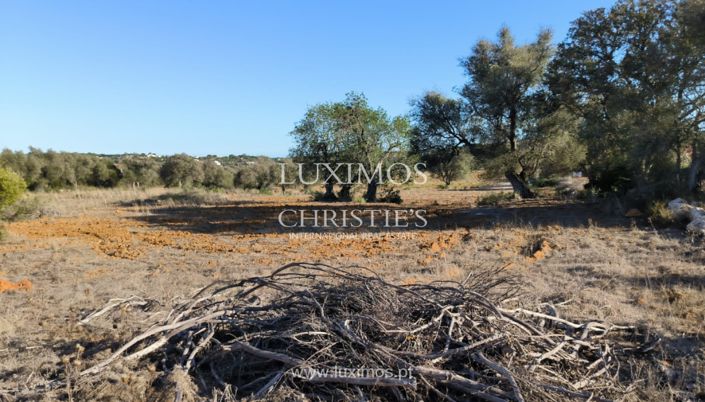 Image No.13-Land for sale