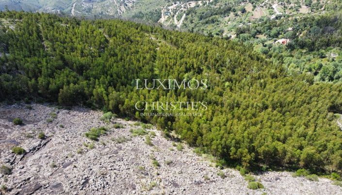 Image No.11-Land for sale