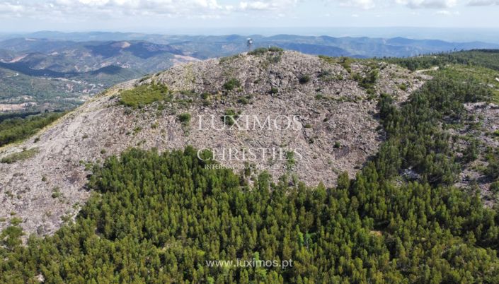 Image No.8-Land for sale