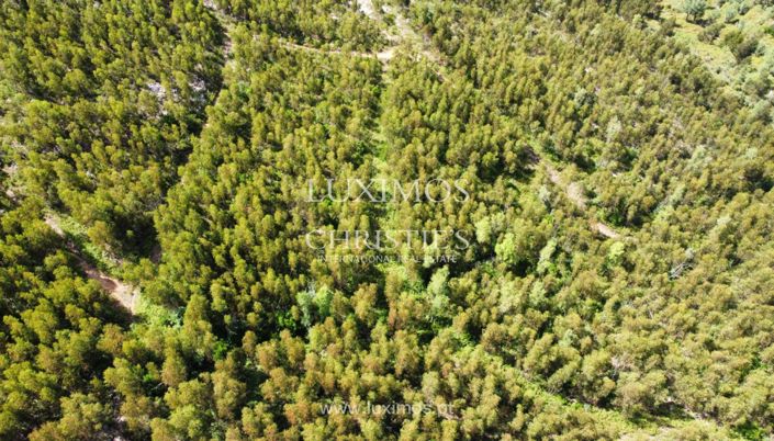 Image No.10-Land for sale