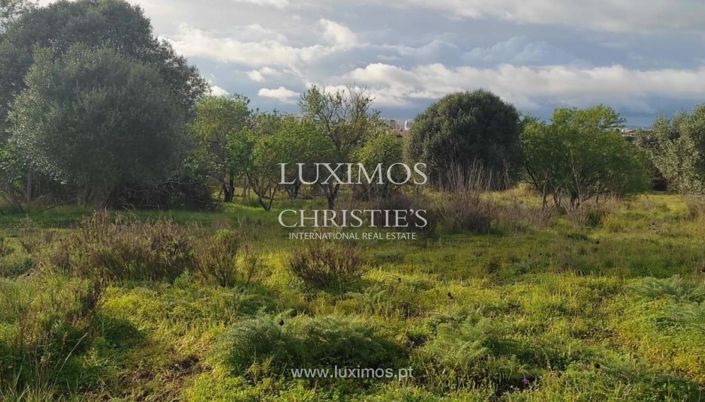 Image No.2-Land for sale