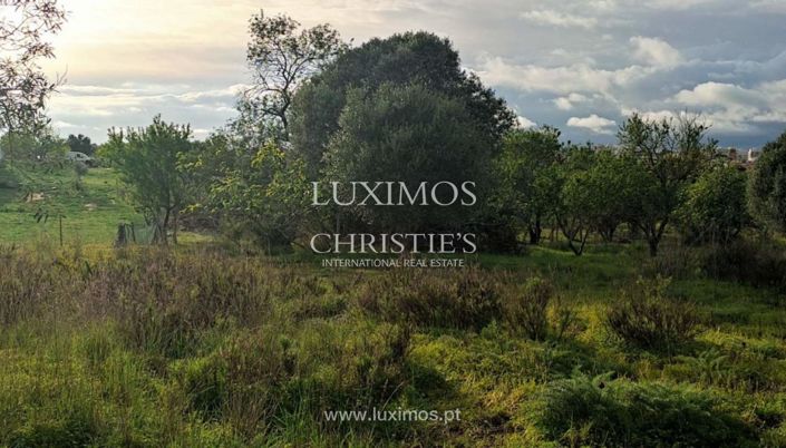 Image No.10-Land for sale