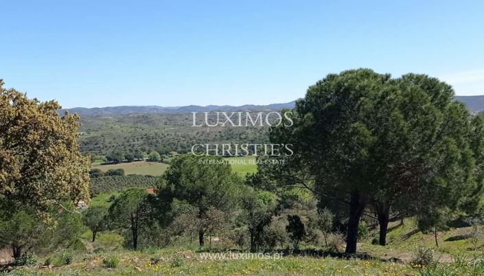 Image No.5-Land for sale