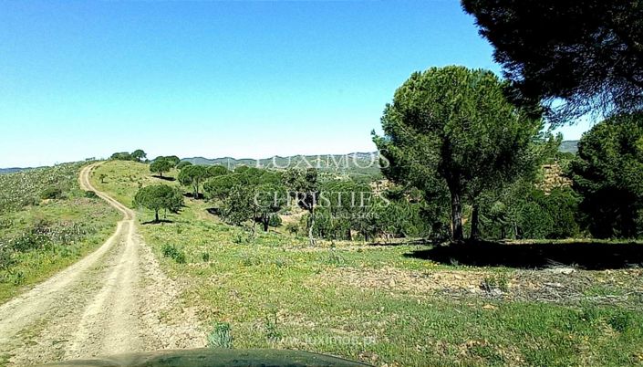 Image No.10-Land for sale