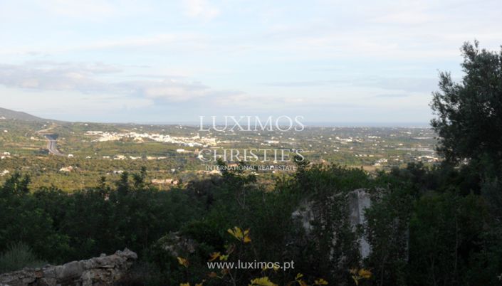 Image No.3-Land for sale