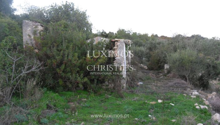 Image No.4-Land for sale