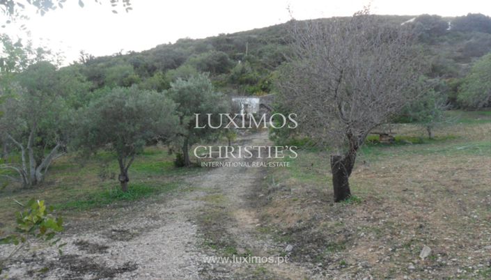 Image No.6-Land for sale