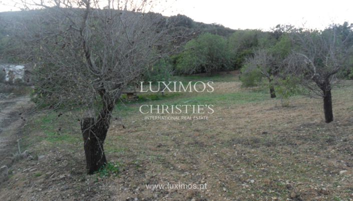 Image No.7-Land for sale