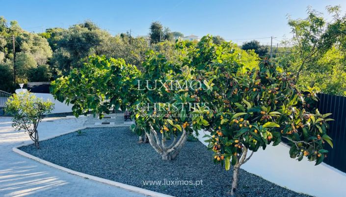 Image No.9-Ferme de 4 chambres à vendre à Loule