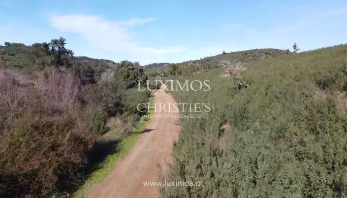 Image No.4-Land for sale